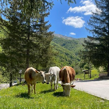 Hotel Campo Stella Leonessa Zewnętrze zdjęcie