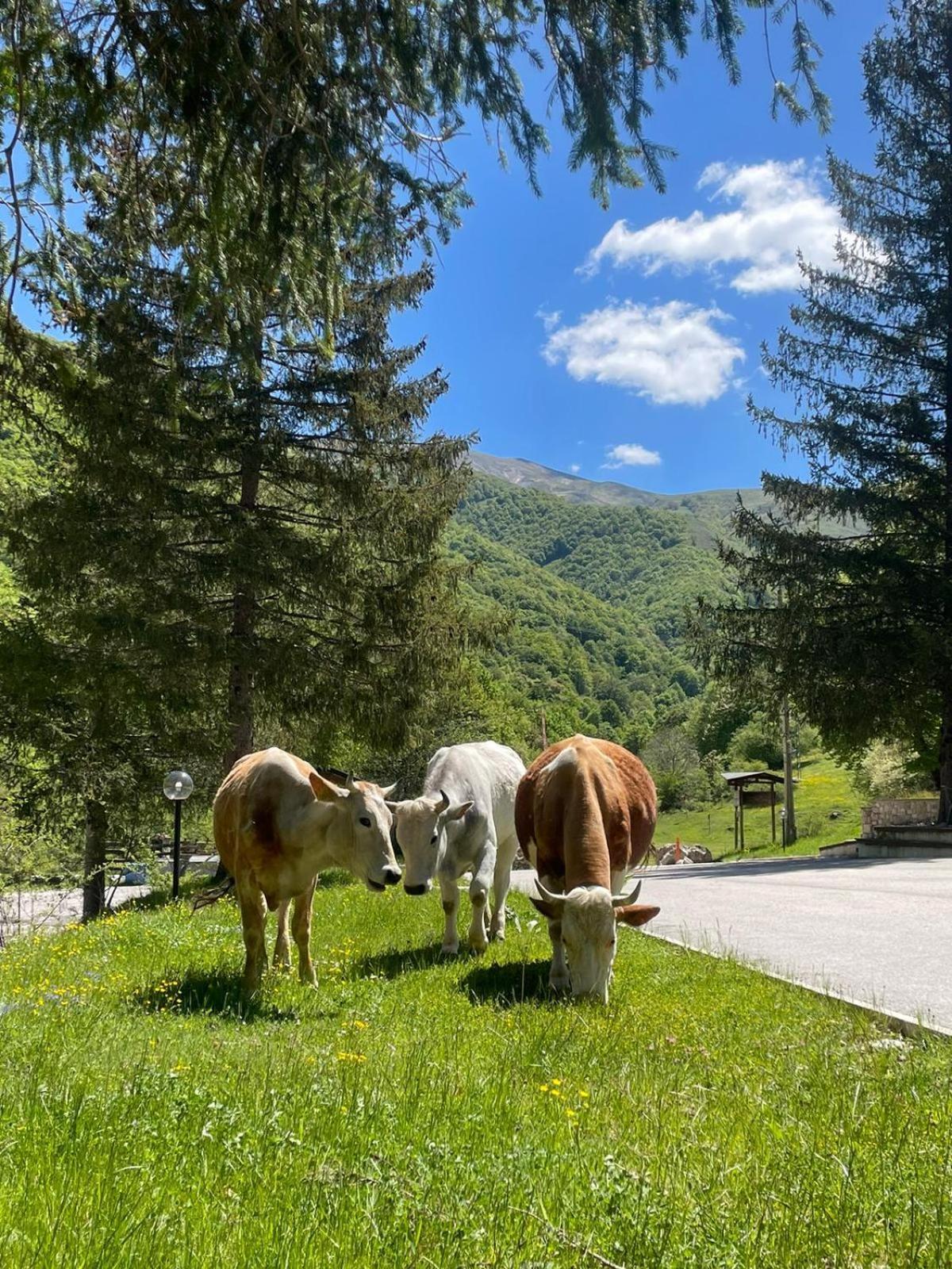 Hotel Campo Stella Leonessa Zewnętrze zdjęcie